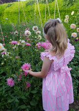 ANNA PAVLOVA DRESS FLAMBOYANCE OF FLAMINGOS STRIPES WITH RASPBERRY RIPPLE HAND SMOCKING