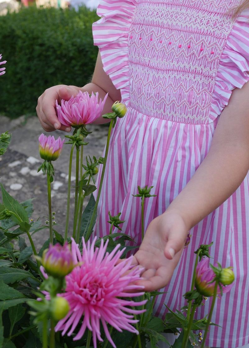 ANNA PAVLOVA DRESS FLAMBOYANCE OF FLAMINGOS STRIPES WITH RASPBERRY RIPPLE HAND SMOCKING