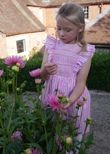 ANNA PAVLOVA DRESS FLAMBOYANCE OF FLAMINGOS STRIPES WITH RASPBERRY RIPPLE HAND SMOCKING