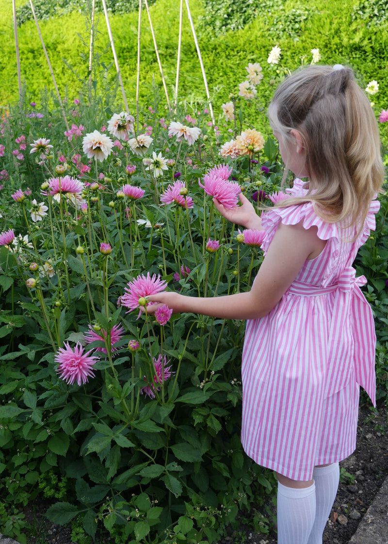 ANNA PAVLOVA DRESS FLAMBOYANCE OF FLAMINGOS STRIPES WITH RASPBERRY RIPPLE HAND SMOCKING