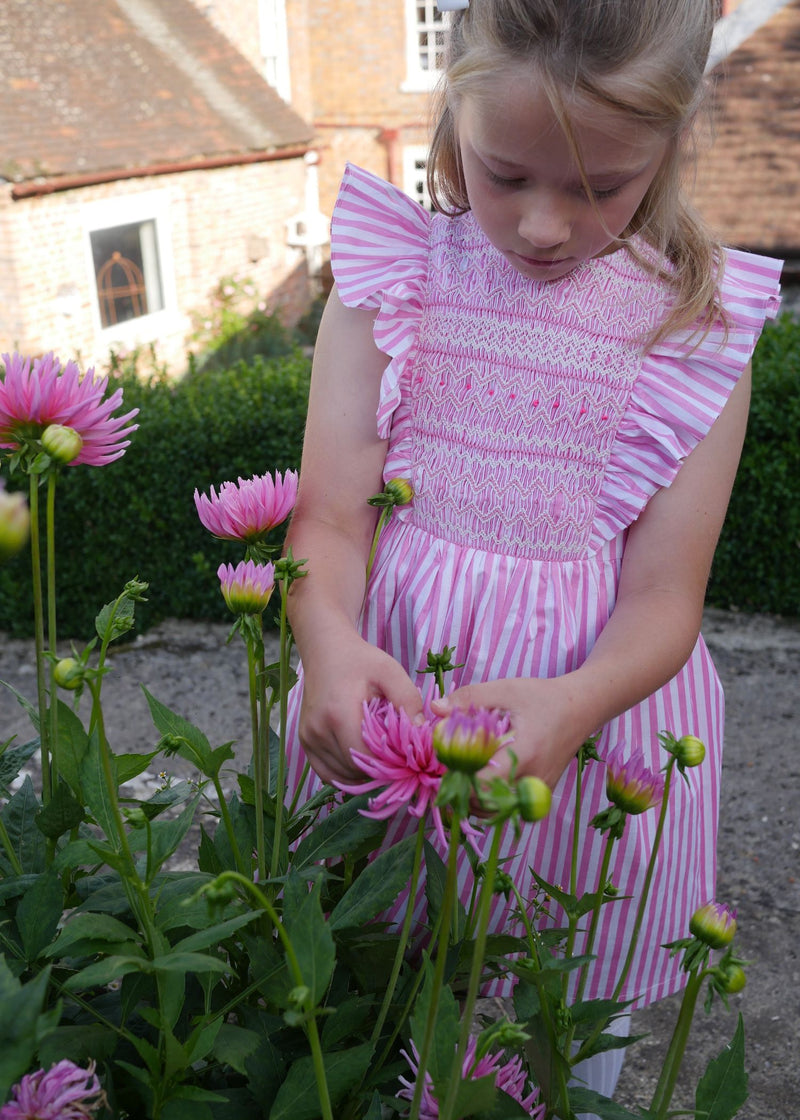 ANNA PAVLOVA DRESS FLAMBOYANCE OF FLAMINGOS STRIPES WITH RASPBERRY RIPPLE HAND SMOCKING