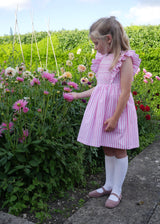 ANNA PAVLOVA DRESS FLAMBOYANCE OF FLAMINGOS STRIPES WITH RASPBERRY RIPPLE HAND SMOCKING